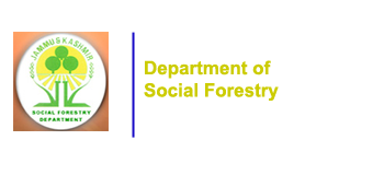 Social Forestry