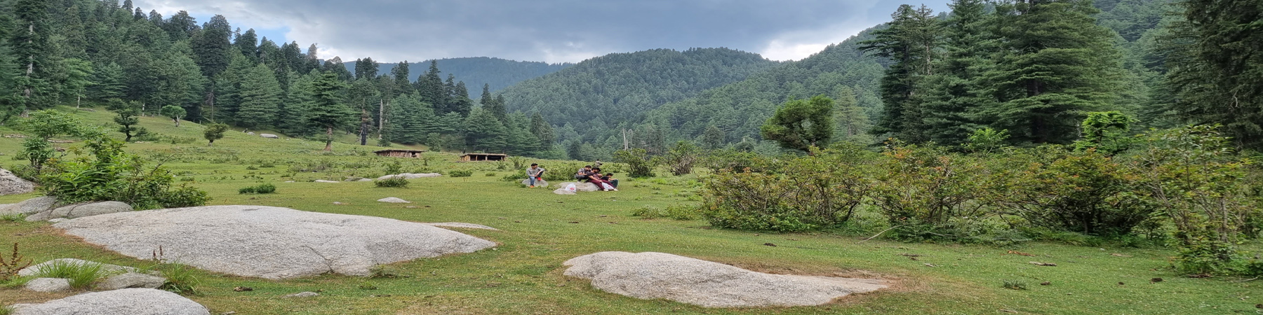Dramman Meadow,  Bhaderwah Forest Division