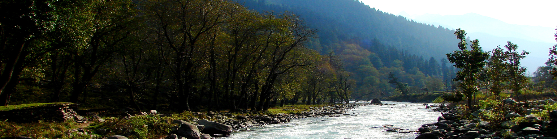 banner2