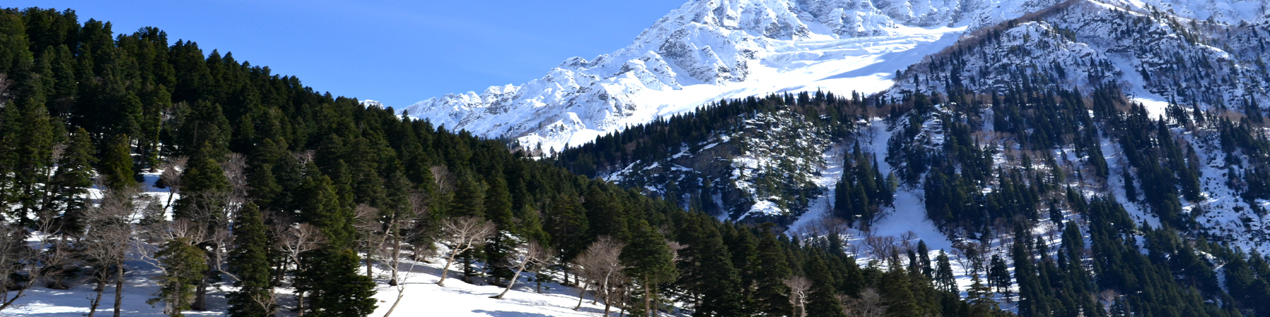 banner4