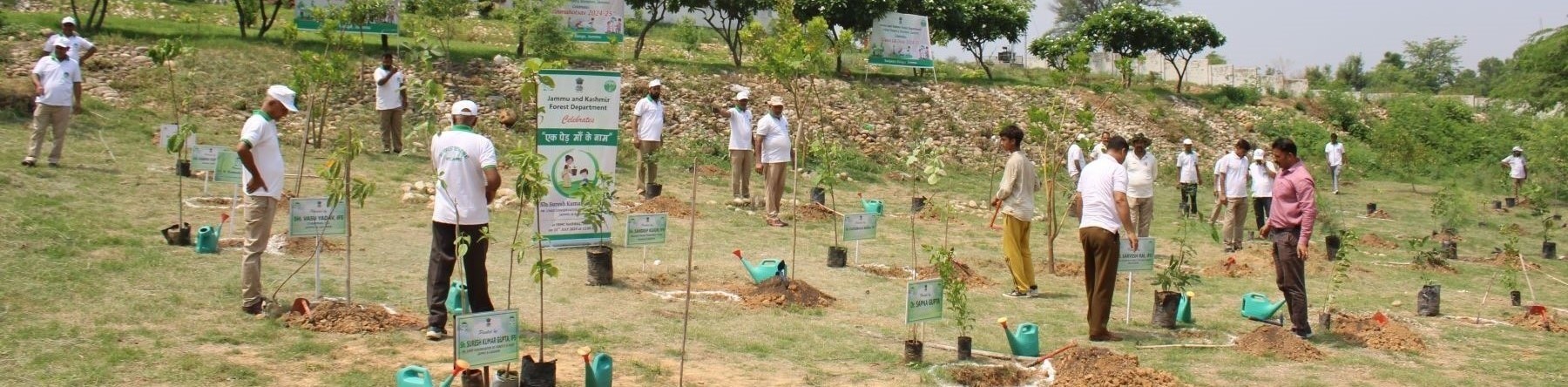 Workshop on Natrual Climate Solutions in INdia